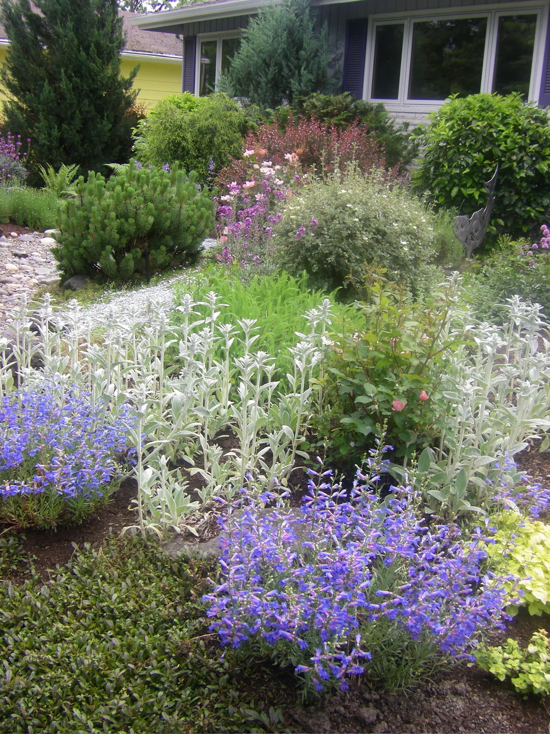 Elizabeth’s garden in Portland